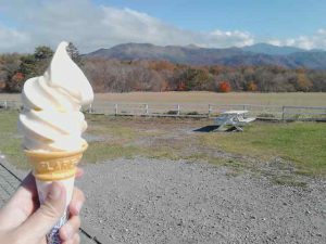 清泉寮ソフトクリーム