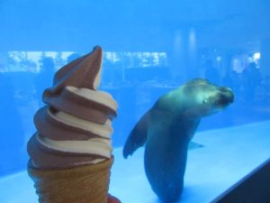 仙台うみの杜水族館